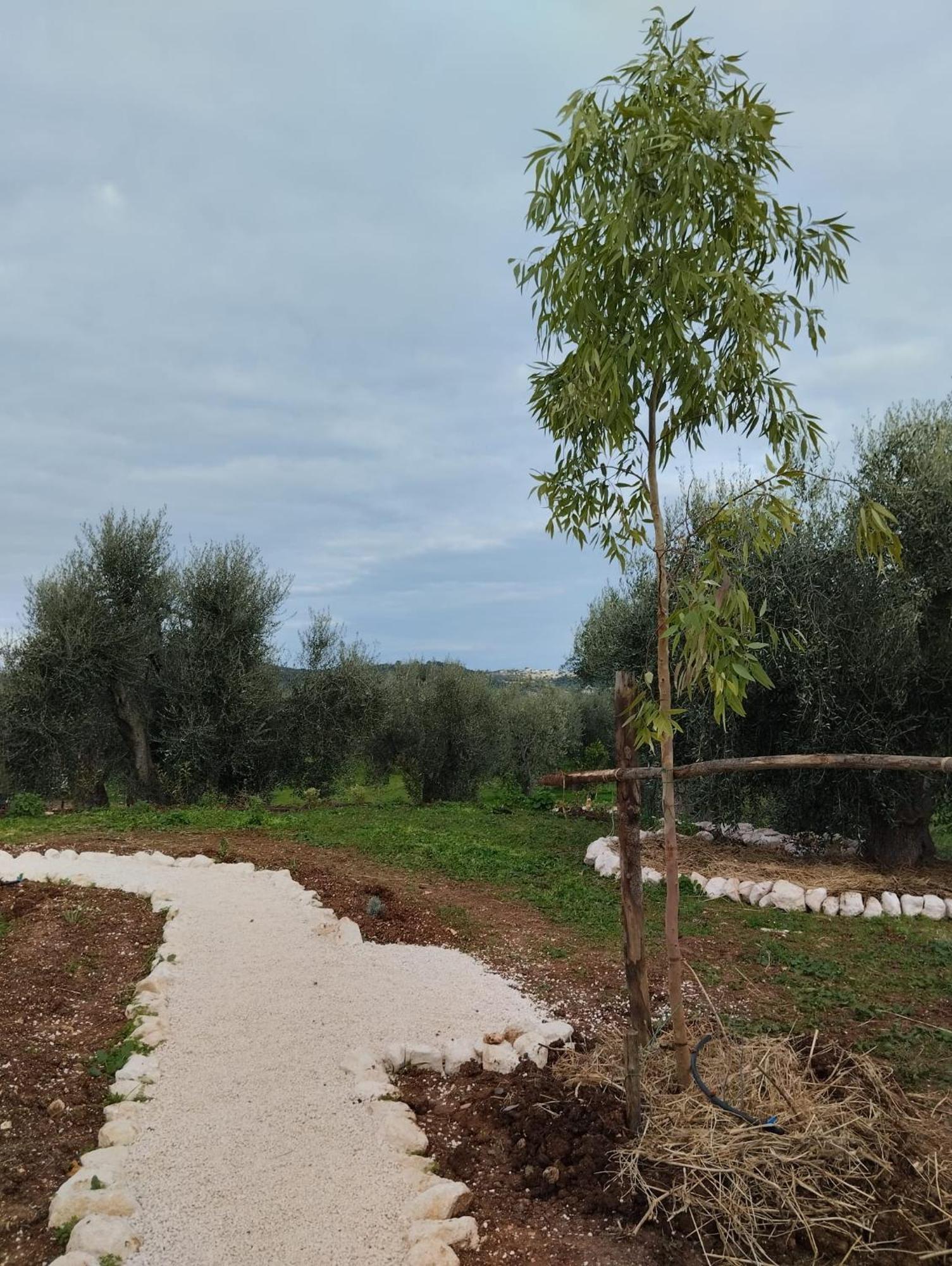 Borgo Rosoli Vieste Dış mekan fotoğraf