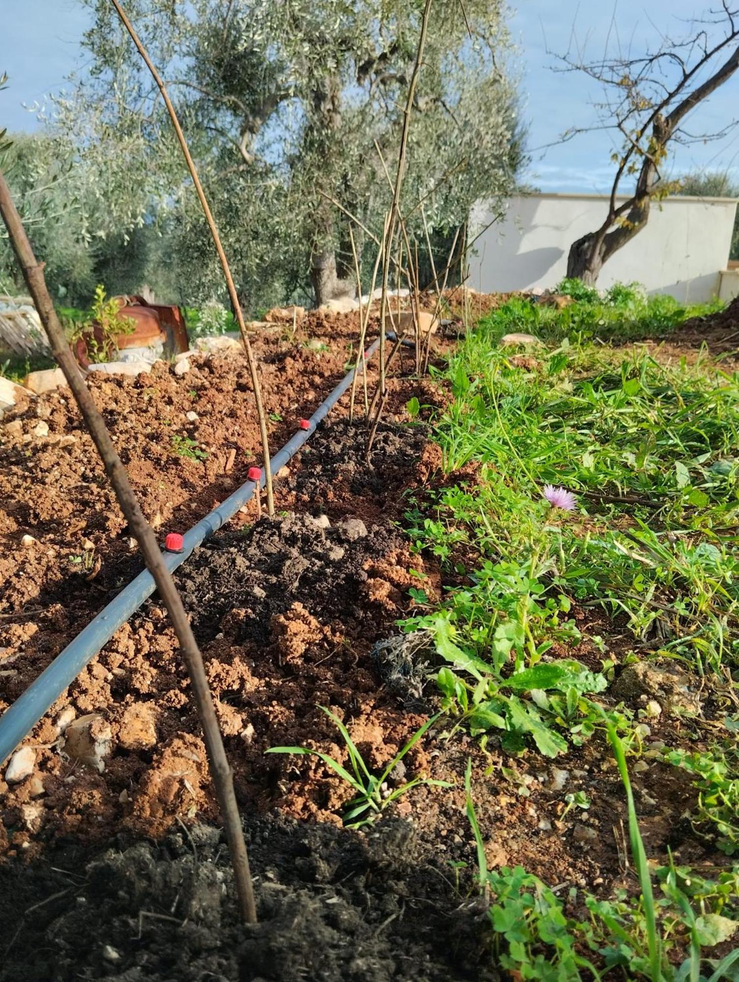 Borgo Rosoli Vieste Dış mekan fotoğraf